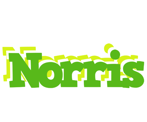 Norris picnic logo