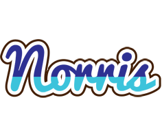 Norris raining logo