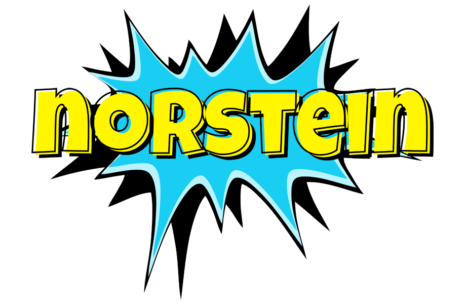 Norstein amazing logo