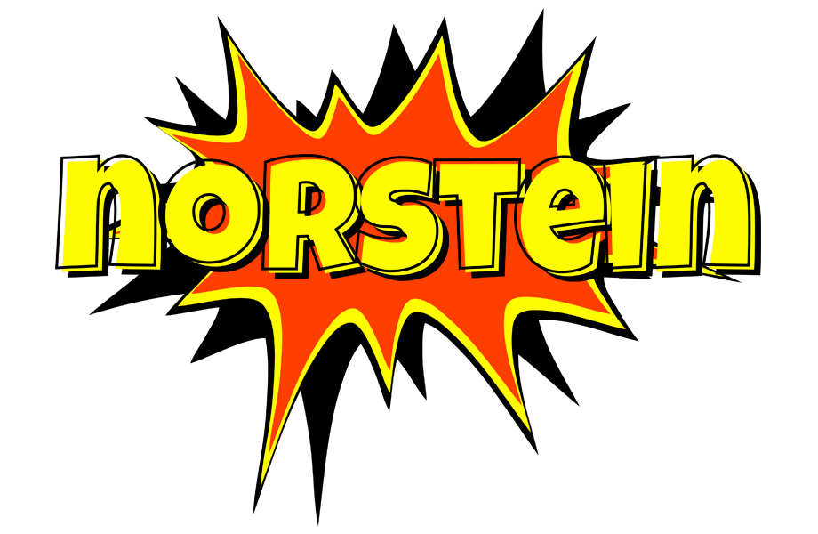 Norstein bazinga logo