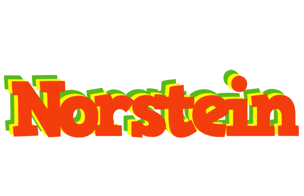 Norstein bbq logo
