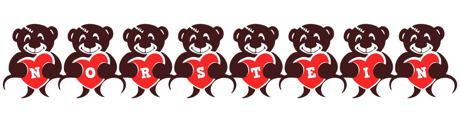 Norstein bear logo