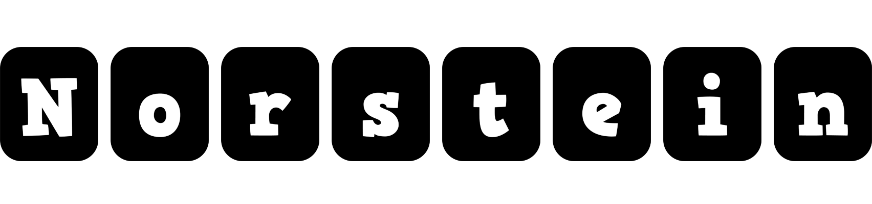 Norstein box logo