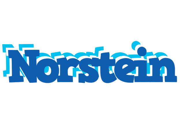 Norstein business logo