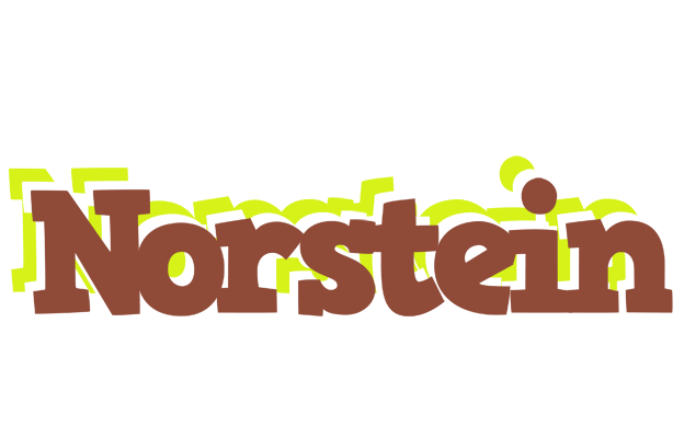 Norstein caffeebar logo