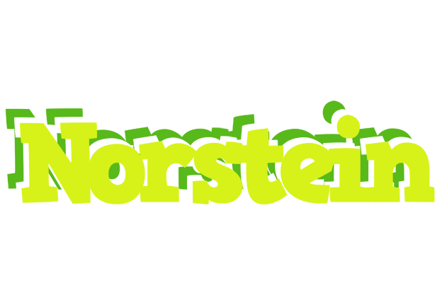 Norstein citrus logo