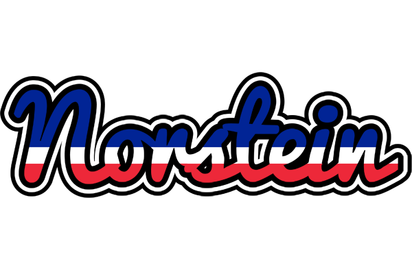 Norstein france logo