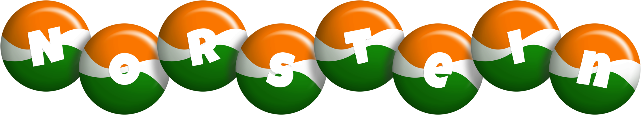 Norstein india logo