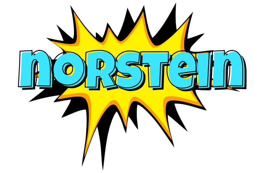 Norstein indycar logo