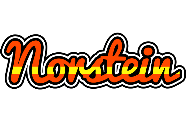 Norstein madrid logo