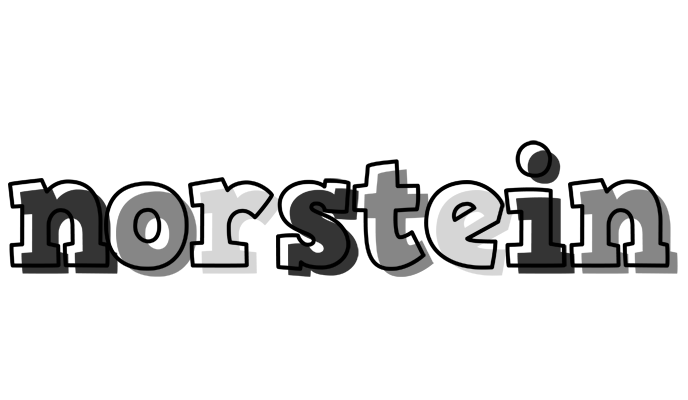 Norstein night logo