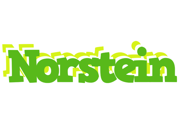 Norstein picnic logo