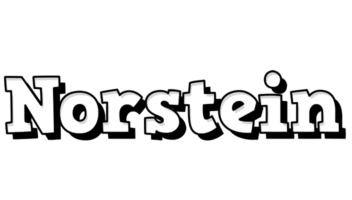 Norstein snowing logo