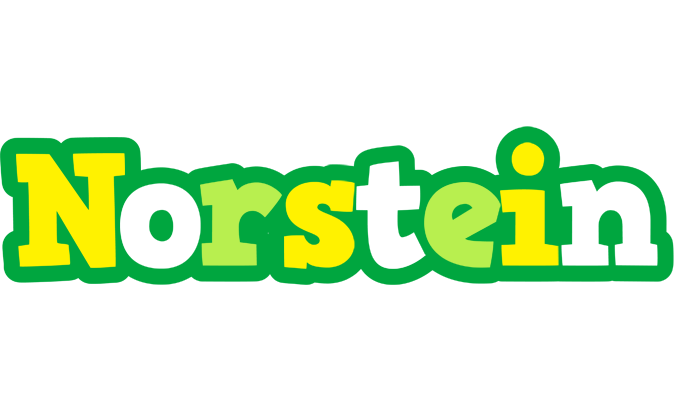 Norstein soccer logo