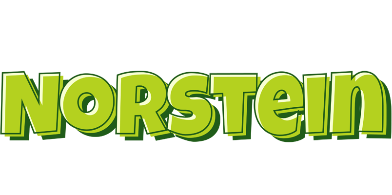 Norstein summer logo