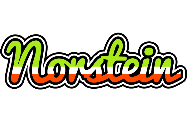 Norstein superfun logo