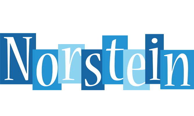 Norstein winter logo