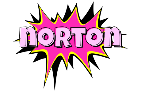 Norton badabing logo