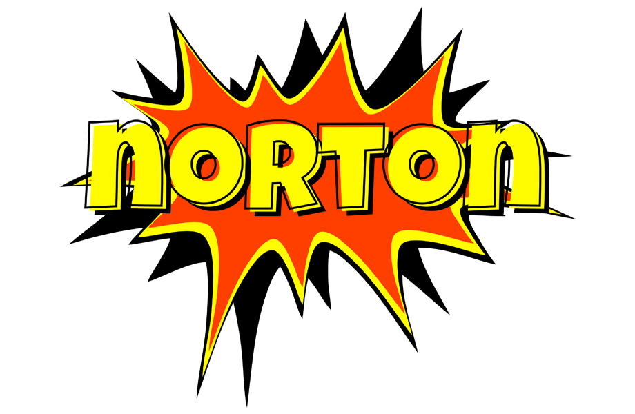 Norton bazinga logo