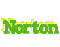 Norton picnic logo