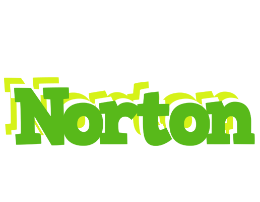 Norton picnic logo