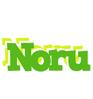 Noru picnic logo