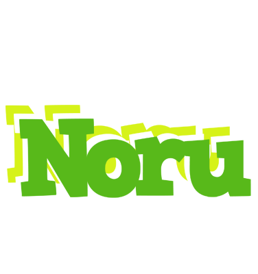 Noru picnic logo