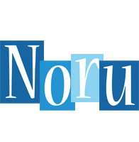 Noru winter logo