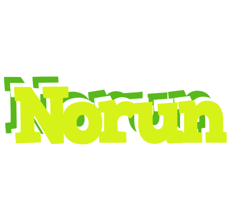 Norun citrus logo