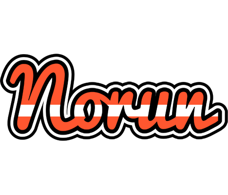 Norun denmark logo