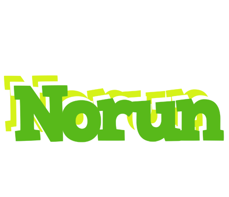 Norun picnic logo