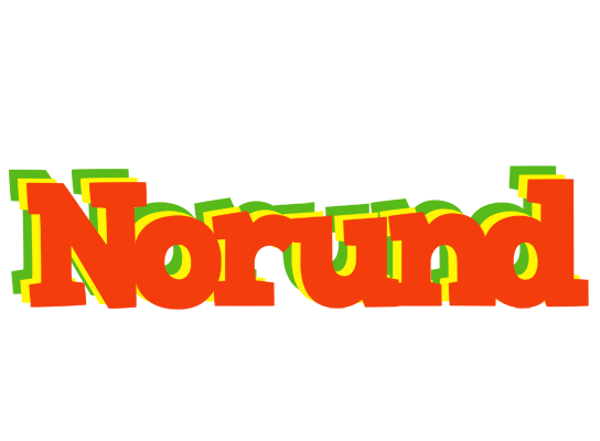 Norund bbq logo