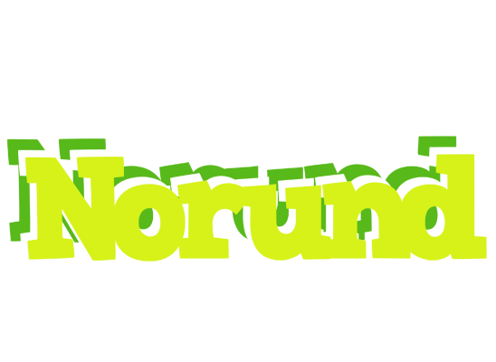 Norund citrus logo