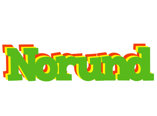 Norund crocodile logo