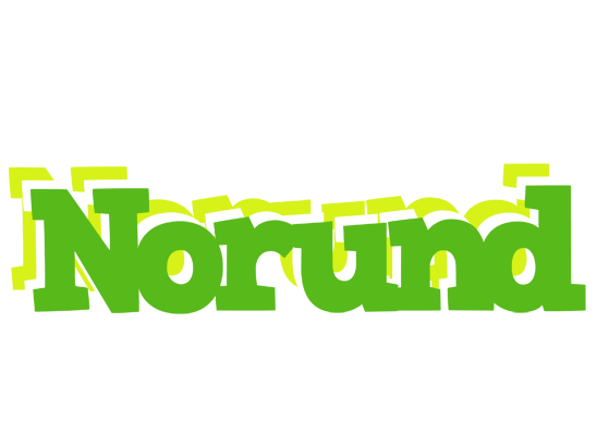 Norund picnic logo