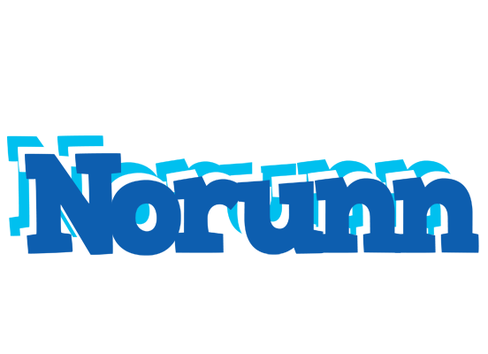Norunn business logo