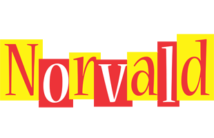 Norvald errors logo