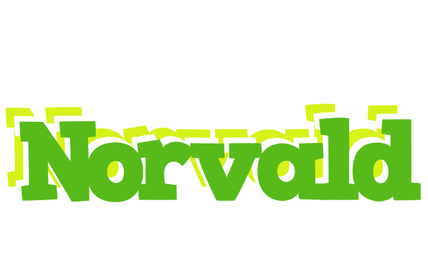 Norvald picnic logo
