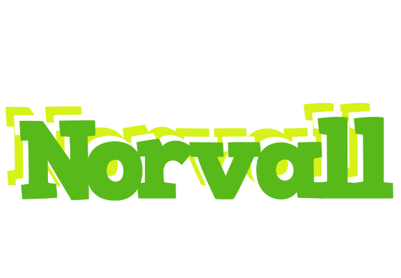 Norvall picnic logo