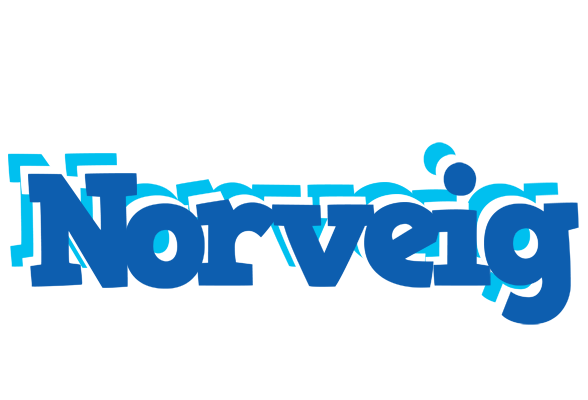 Norveig business logo