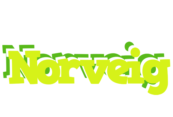 Norveig citrus logo