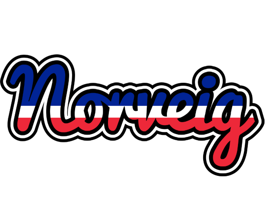 Norveig france logo