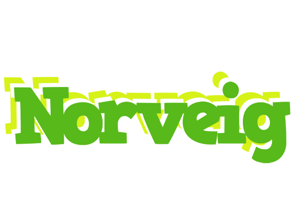 Norveig picnic logo