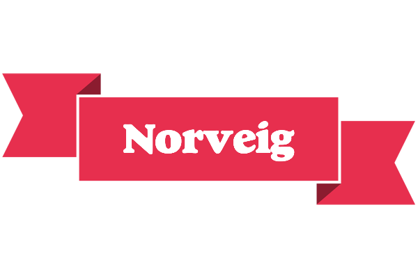 Norveig sale logo
