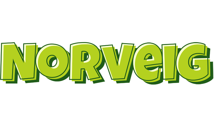 Norveig summer logo
