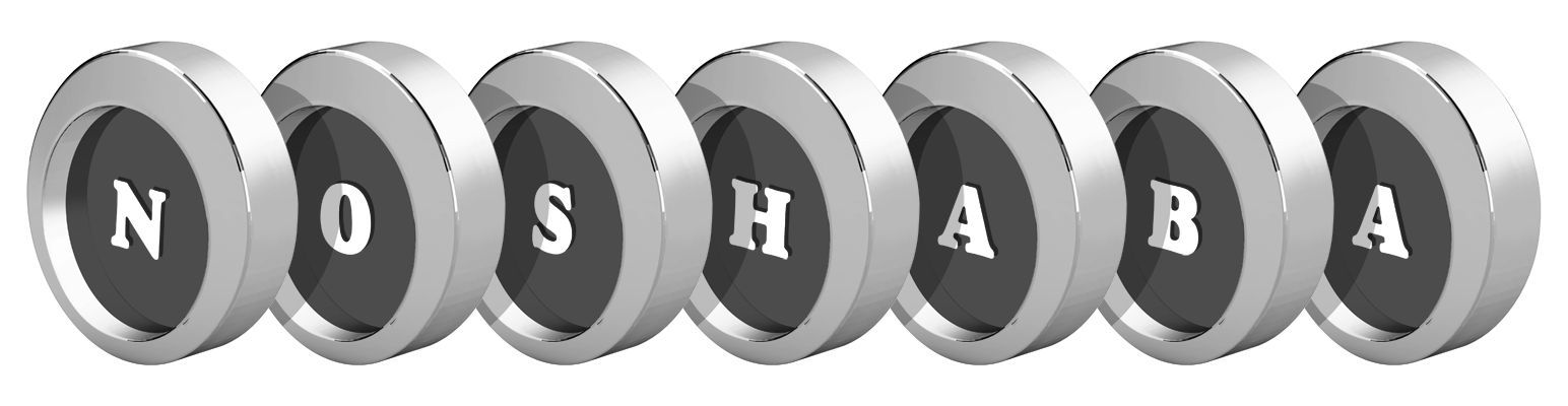 Noshaba coins logo