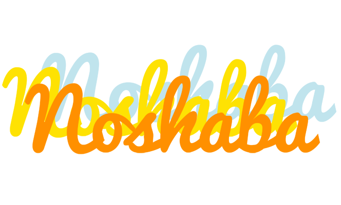 Noshaba energy logo