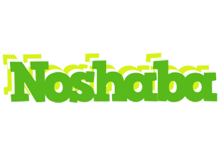 Noshaba picnic logo