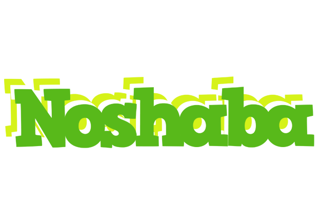 Noshaba picnic logo