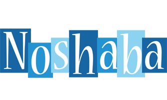 Noshaba winter logo